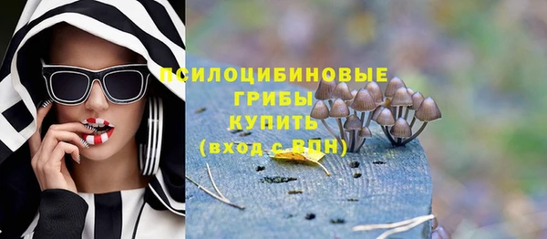 твердый Нягань