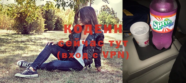 гашик Няндома