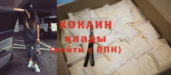 твердый Нягань
