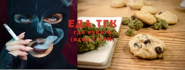 гашик Няндома