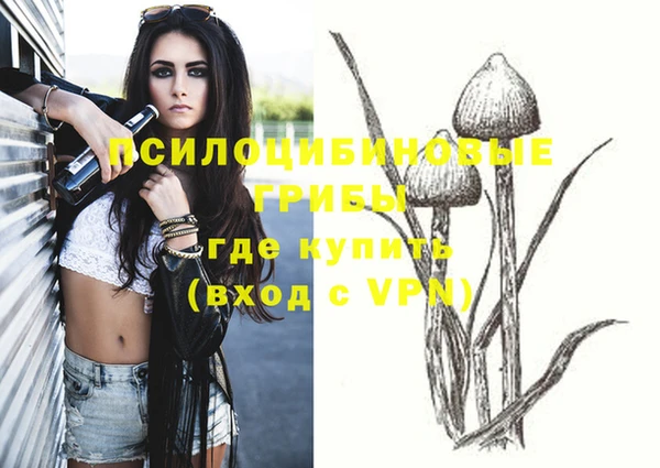 гашик Няндома