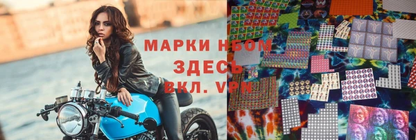 стафф Чита