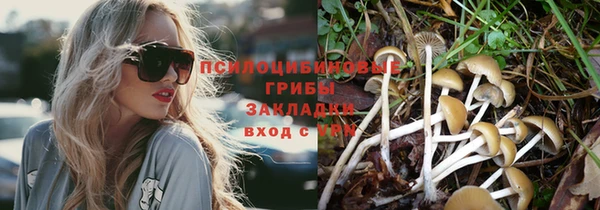 гашик Няндома