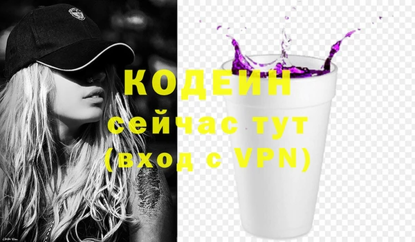 гашик Няндома