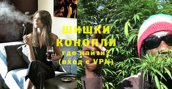 гашик Няндома