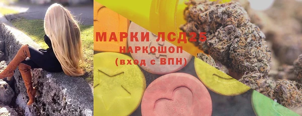 гашик Няндома