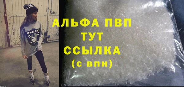 гашик Няндома