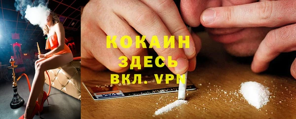 твердый Нягань