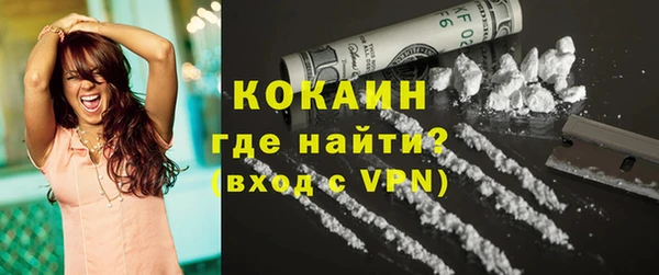 гашик Няндома