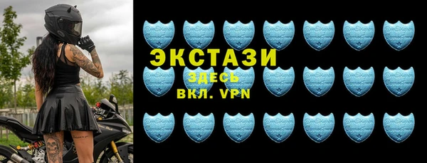 гашик Няндома