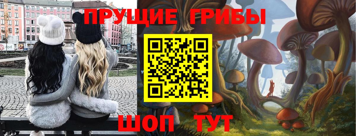 Псилоцибиновые грибы мицелий  Вход с VPN  Саров  Галлюциногенные грибы Magic Shrooms 